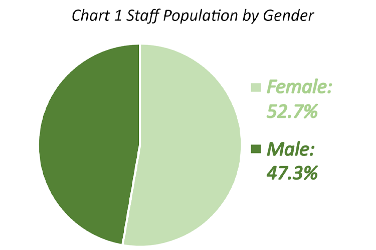 Chart 1 Staff Population by Gender