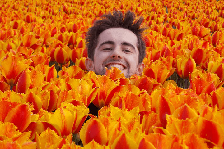 photo of a student amidst orange tulips