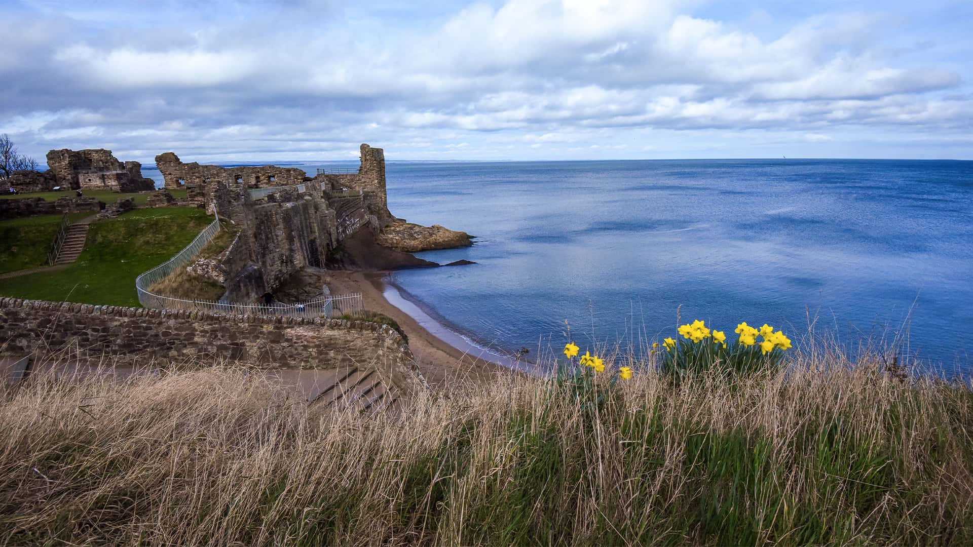 St Andrews coast
