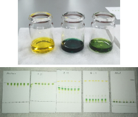 Pigments in solution and chromatograms