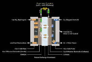 Schematic picture of a fuel cell