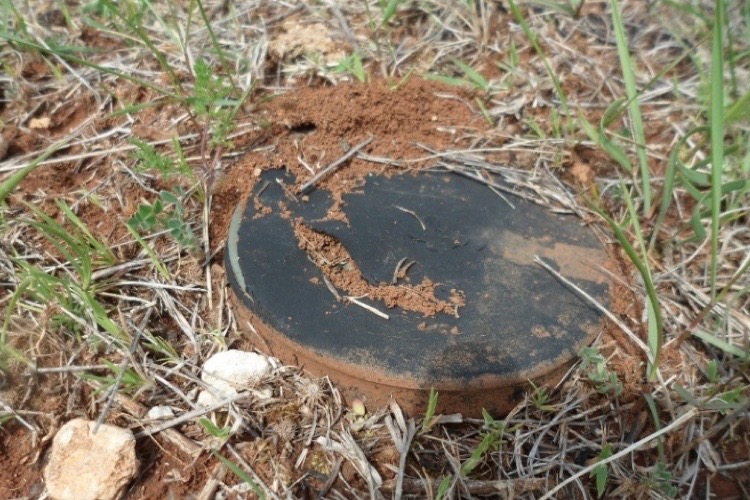 A rusty land mine in a field.