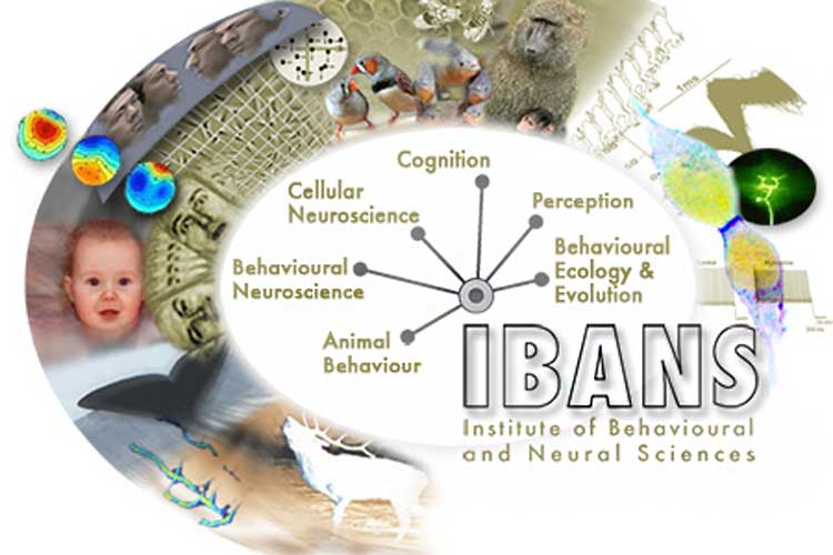 Poster showing areas of research in the Institute of Behavioural and Neural Sciences